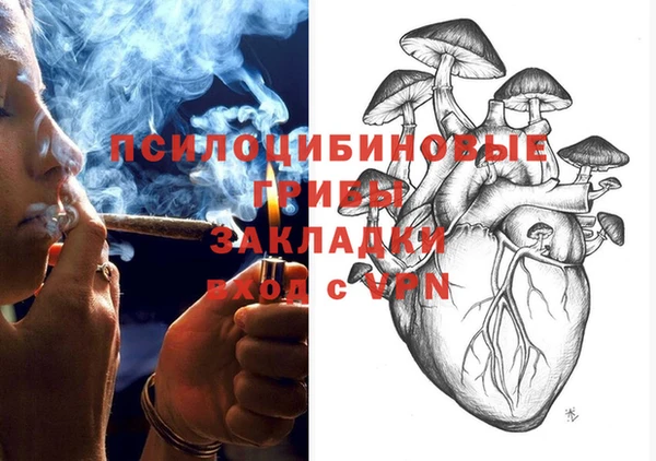 гашик Нязепетровск