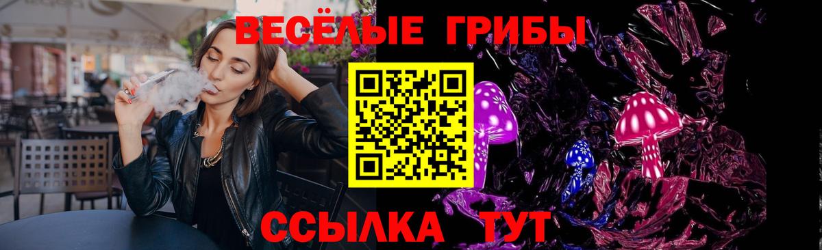 где купить наркоту  Псилоцибиновые грибы Psilocybe  Дербент  Вход с VPN  Псилоцибиновые грибы Magic Shrooms 