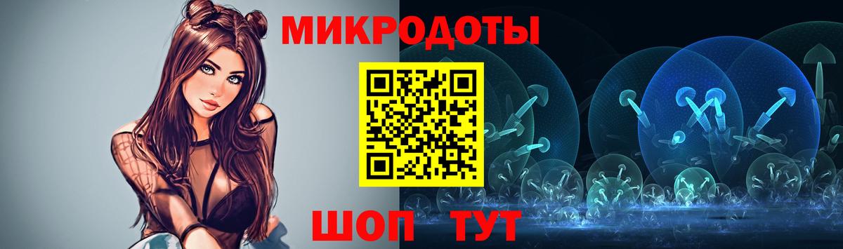 Псилоцибиновые грибы Psilocybine cubensis Дербент